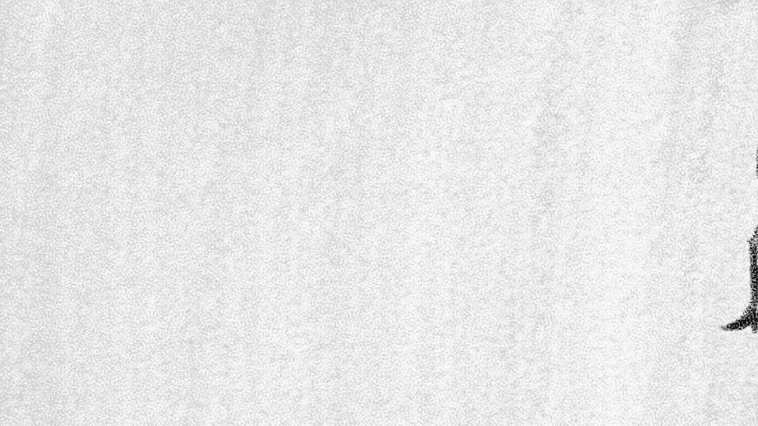 FREAKI: Logo Teaser Animation animation branding graphic design logo motion graphics rotoscope rotoscopeing