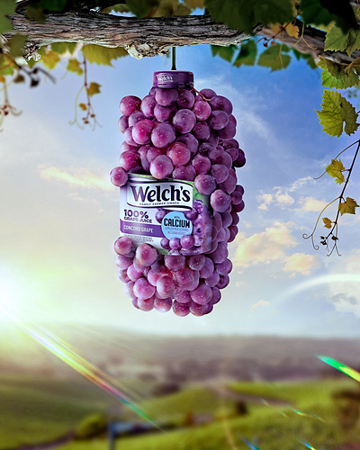 COMPOSITION FOR WELCH´S JUICES GRAPE FLAVOR